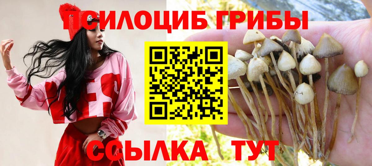 Галлюциногенные грибы Psilocybine cubensis  купить наркотики цена  Братск  Вход с VPN 